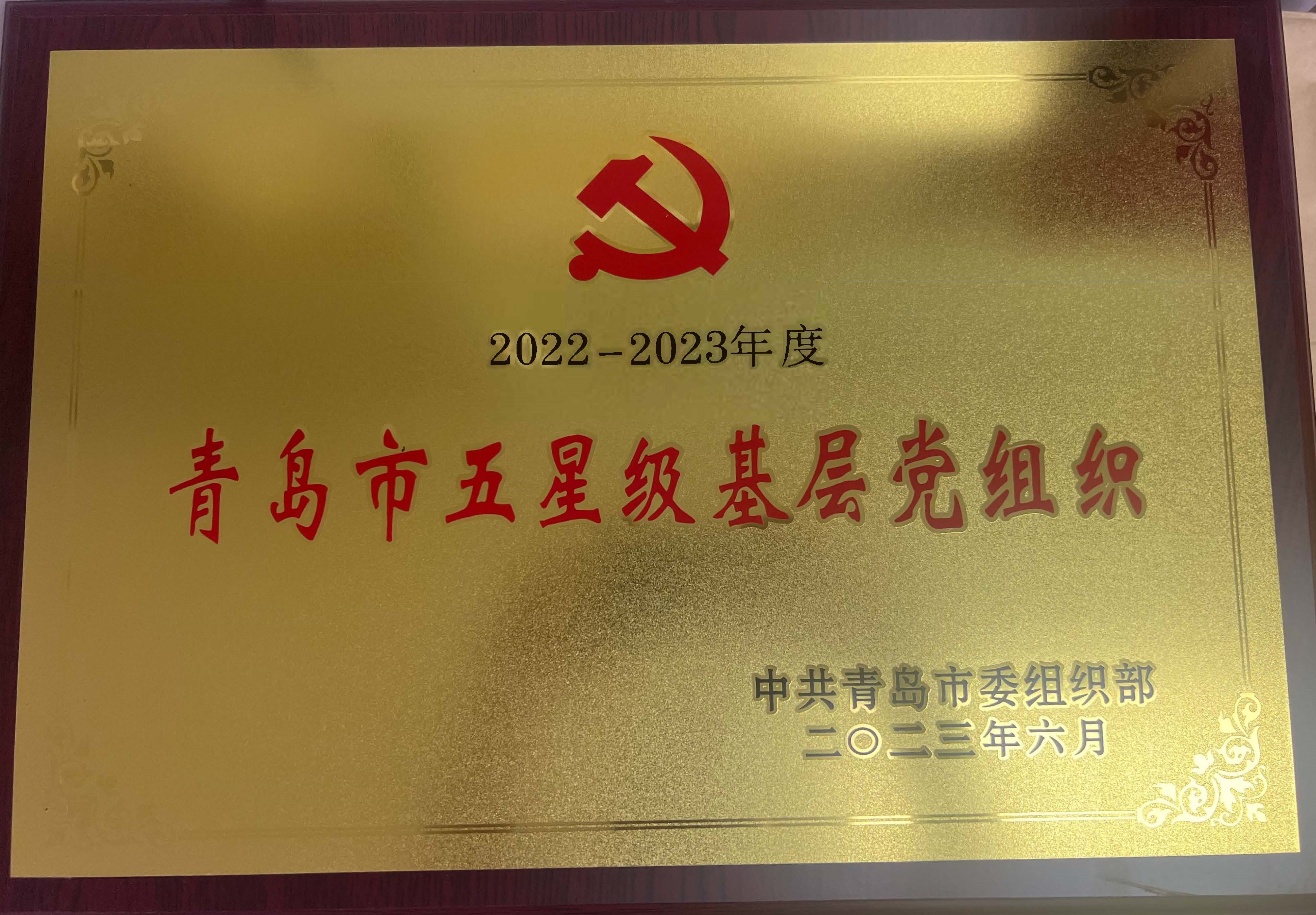 2023年度五星級(jí)黨組織證書(shū)(1)_頁(yè)面_2.jpg